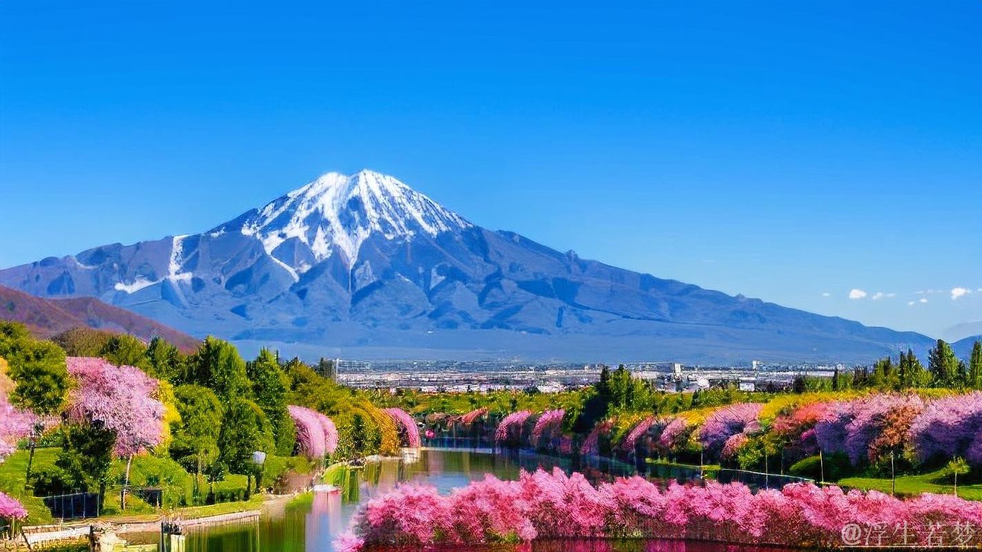 日本队：一道动人的风景