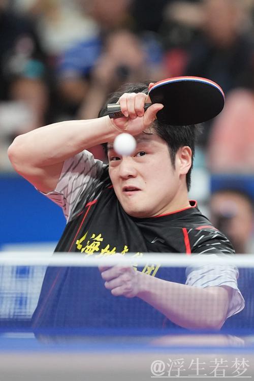 乒超联赛：樊振东一日四胜助上海地产3-2力克汕头明润